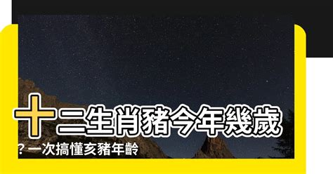 豬 年|屬豬今年幾歲 豬年是民國西元哪幾年